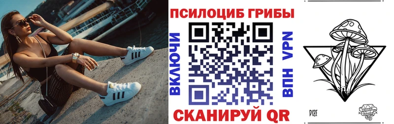 Псилоцибиновые грибы Psilocybe Абдулино