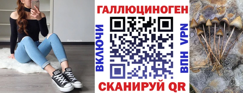 Псилоцибиновые грибы мицелий ссылка на мегу как войти Абдулино